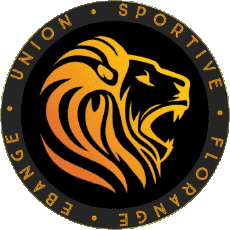 Deportes Fútbol Clubes Francia Grand Est 57 - Moselle US Florange Ebange 