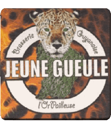 Bebidas Cervezas Francia en el extranjero Jeune-Gueule 
