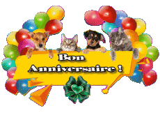 Messages Français Bon Anniversaire Animaux 007 