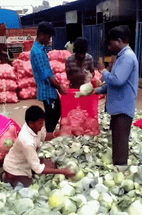 Umorismo -  Fun PERSONE Al lavoro Fun - Win 