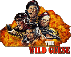 Multimedia V International Die Wildgänse Kommen Englisches Logo 