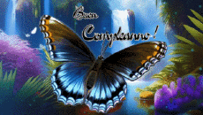 Nachrichten Italienisch Buon Compleanno Farfalle Animierter Hintergrund 003 