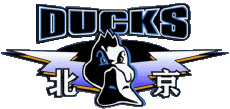 Sports Basketball China Beijing Ducks 