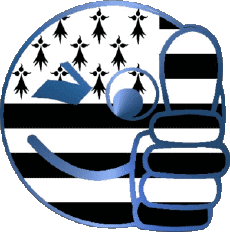 Drapeaux France Régions Bretagne Smiley - OK 