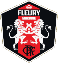 Sport Fußballvereine Frankreich Ile-de-France 91 - Essonne FC Fleury 91 