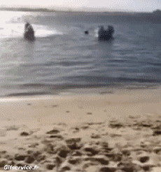 Humour - Fun Transports Jet Ski Gamelle - Fail 