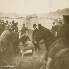 Humour - Fun 3D Effets Stéreoscopique Wiggle 