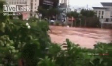 Umorismo -  Fun Trasporti Barche Incidente - Arenamento 