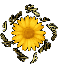 Messages Anglais I Love You 02 