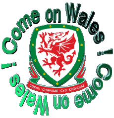 Messages Anglais Come on Wales Soccer 