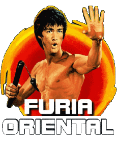 Multimedia V International Bruce Lee Furia Oriental 