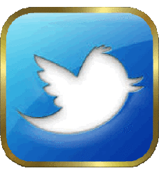 Multimedia Computadora - Internet Twitter 