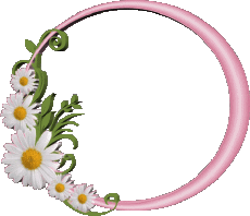 Messages Anglais Happy Birthday Floral Fond Transparent 021 