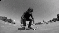 Humor -  Fun Sports Skateboard Free Style Fun - Win 02 