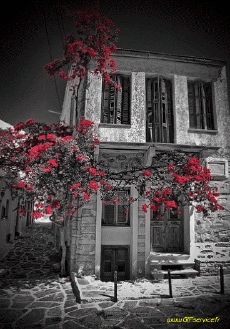 Humour - Fun 3D Effets Stéreoscopique Wiggle avec Matrice 