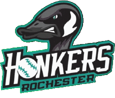 Deportes Béisbol U.S.A - Northwoods League Rochester Honkers 