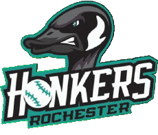 Sportivo Baseball U.S.A - Northwoods League Rochester Honkers 