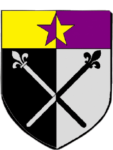 Blasone-Bandiere Francia Dipartimenti - Città 974 SAINT ANDRE 