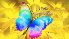 Messagi Spagnolo Feliz Cumpleaños Mariposas Sfondo animato 001 