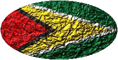 Drapeaux Amériques Guyana Ovale 