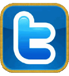 Multi Média Informatique - Internet Twitter 