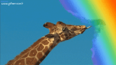 Humor - Fun Animales Jirafas 01 