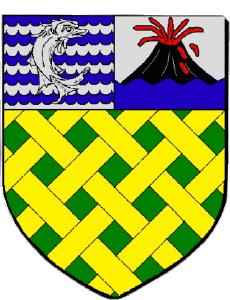 Fahnen Frankreich Abteilungen - Städte 974 SAINT PHILIPPE 