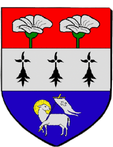 Drapeaux France Départements - Villes 971 BAIE MAHAULT 