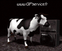 Humor - Fun Animales Vacas 01 