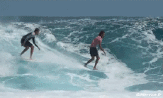Humor -  Fun Sports Surf Gamelle Fail 