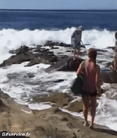 Humour - Fun Lieux - Nature Bord de Mer 