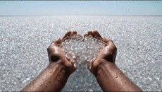 Humor - Fun A.I Mezcla Océano de ensueño 