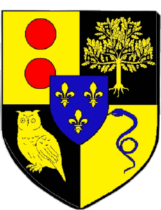 Fahnen Frankreich Abteilungen - Städte 92 LE PLESSIS ROBINSON 