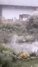 Humor -  Fun Places Hail 