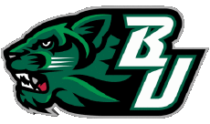 Sportivo N C A A - D1 (National Collegiate Athletic Association) B Binghamton Bearcats 
