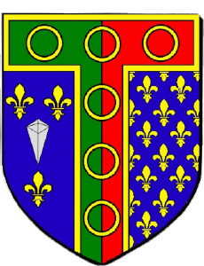 Banderas Francia Departamentos - Ciudades 78 TRAPPES 