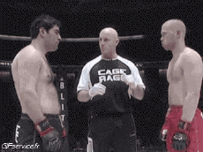 Humour - Fun Sports Boxe Gamelle Fail 