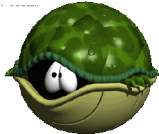 Umorismo -  Fun Animali Tartarughe 01 