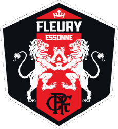 Sport Fußballvereine Frankreich Ile-de-France 91 - Essonne FC Fleury 91 