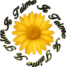 Messages French Je T'aime 03 