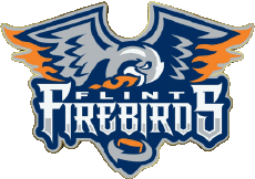Sports Hockey - Clubs Canada - O H L Flint Firebirds 