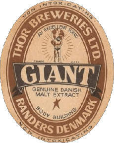 Getränke Bier Dänemark Thor 