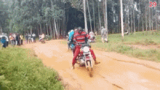 Humor -  Fun Transport Motorräder Route Gamelles Fail 02 