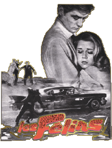 Multi Média Cinéma - France Alain Delon Les Félins 