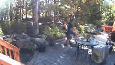 Humor -  Fun MENSCHEN Auf Arbeit Idiot Fail Serie 03 