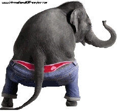 Humour - Fun Animaux Eléphants 01 