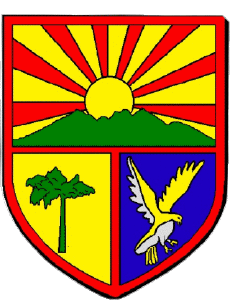 Banderas Francia Departamentos - Ciudades 974 LA PLAINE DES PALMISTES 