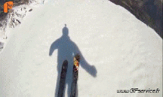 Humor -  Fun Sports Skydiving Fun Win 