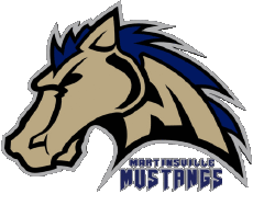 Deportes Béisbol U.S.A - CPL - Coastal Plain League Martinsville Mustangs 
