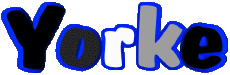 Vorname MANN - UK - USA - IRL - AUS - NZ Y Yorke 